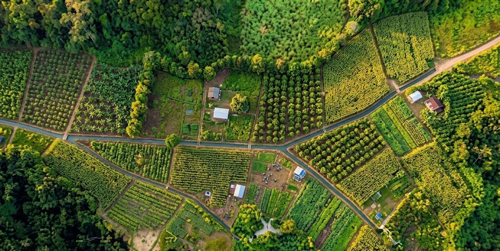 Transformación agraria en el departamento de Córdoba