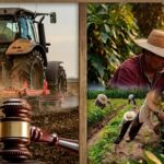 estancamiento legislativo de la Jurisdicción Agraria