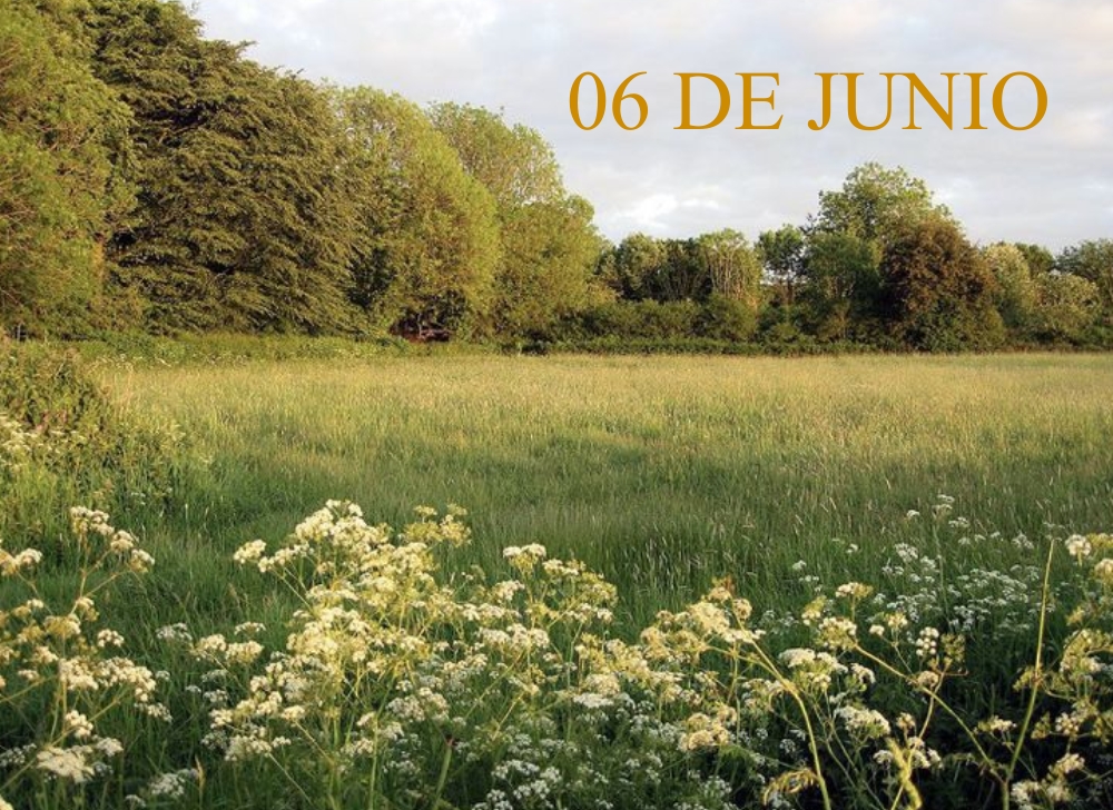 EFEMERIDES 06 DE JUNIO