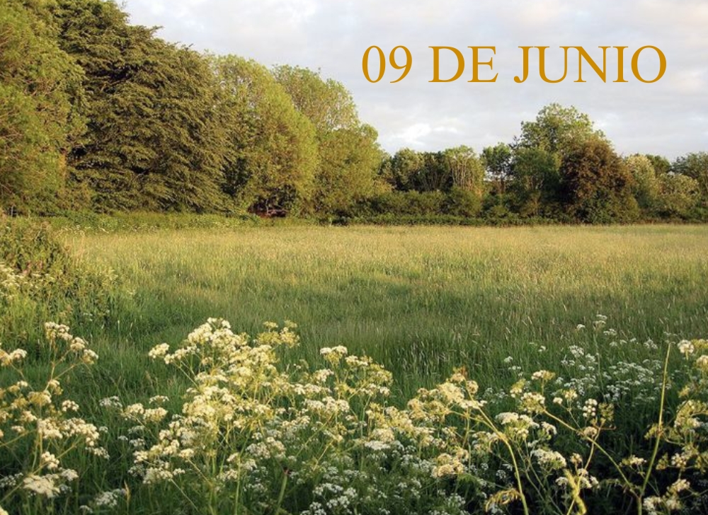 EFEMERIDES 09 DE JUNIO