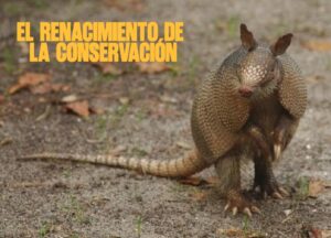 El Renacimiento de la Conservación