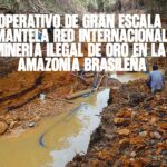 Operativo de gran escala desmantela red internacional de minería ilegal de oro en la Amazonía brasileña