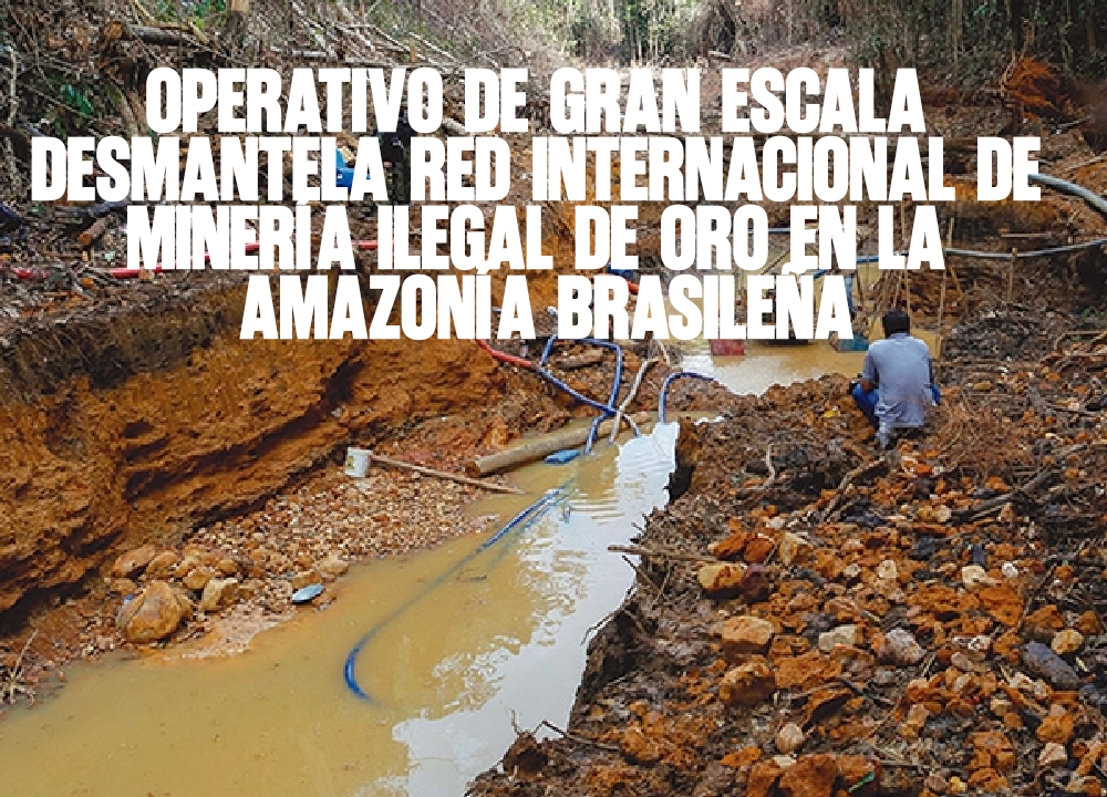 Operativo de gran escala desmantela red internacional de minería ilegal de oro en la Amazonía brasileña