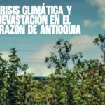 Crisis climática y devastación en el corazón de Antioquia