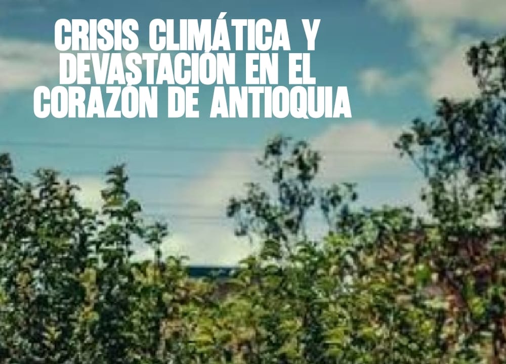 Crisis climática y devastación en el corazón de Antioquia