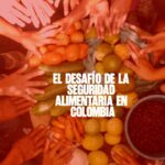 El Desafío de la Seguridad Alimentaria en Colombia