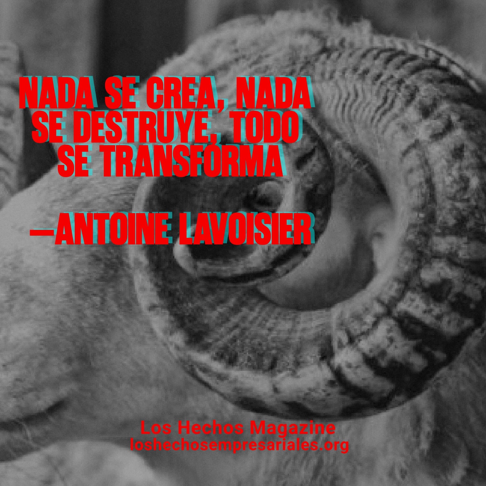 Reflexión 07-07-2026