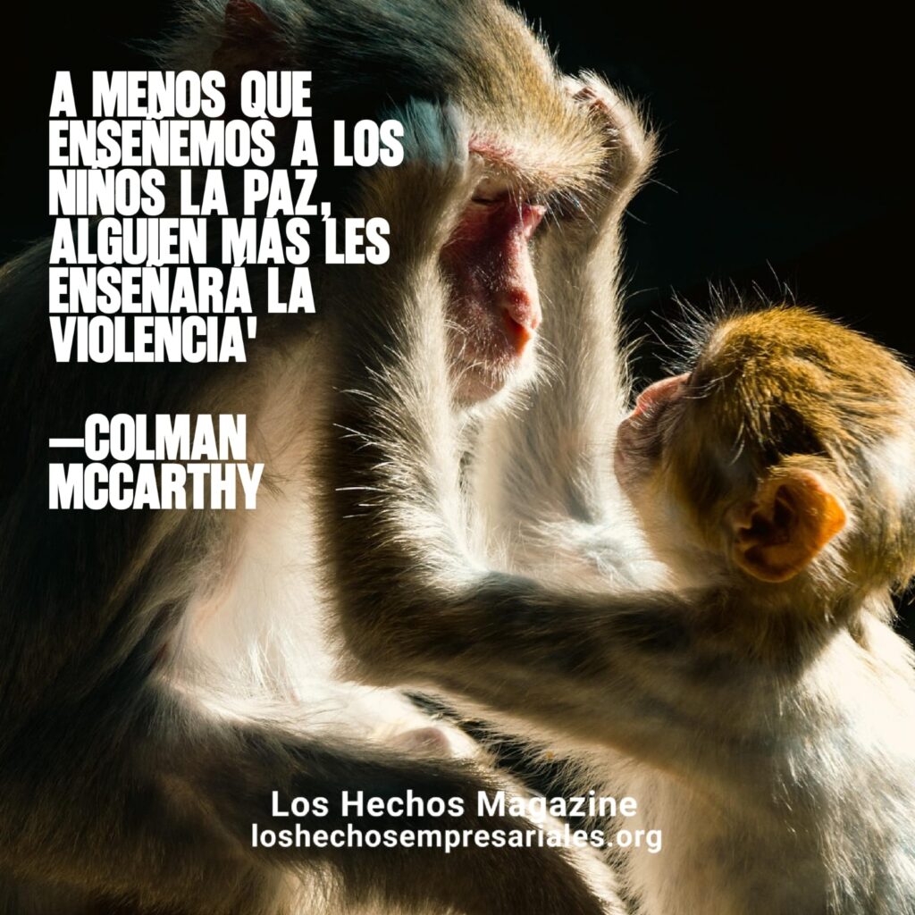 Reflexión 22-07-2026