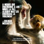 Reflexión 22-07-2026