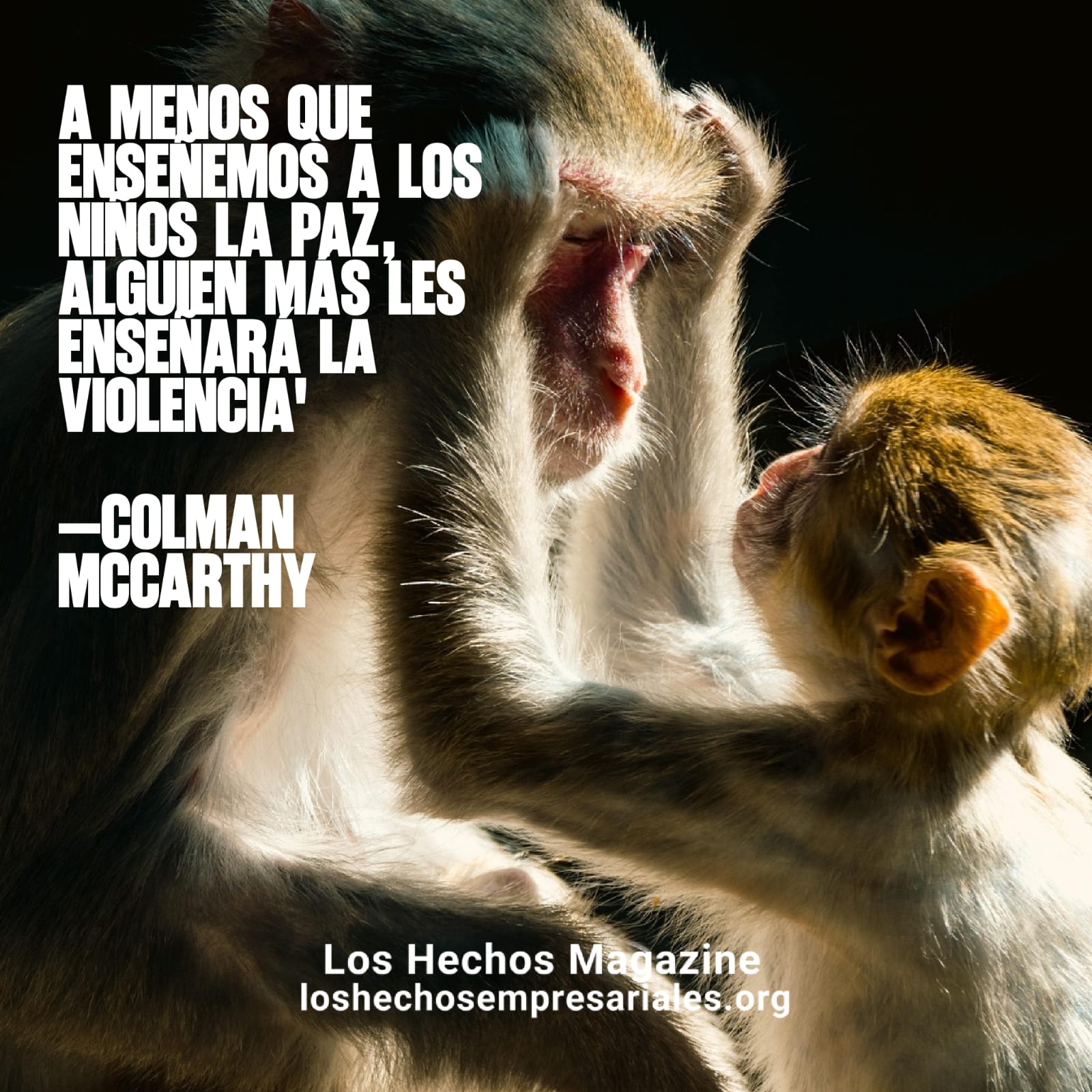 Reflexión 22-07-2026