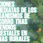 Acciones Inmediatas de los Organismos de Socorro tras Incendios Forestales en Zonas Rurales