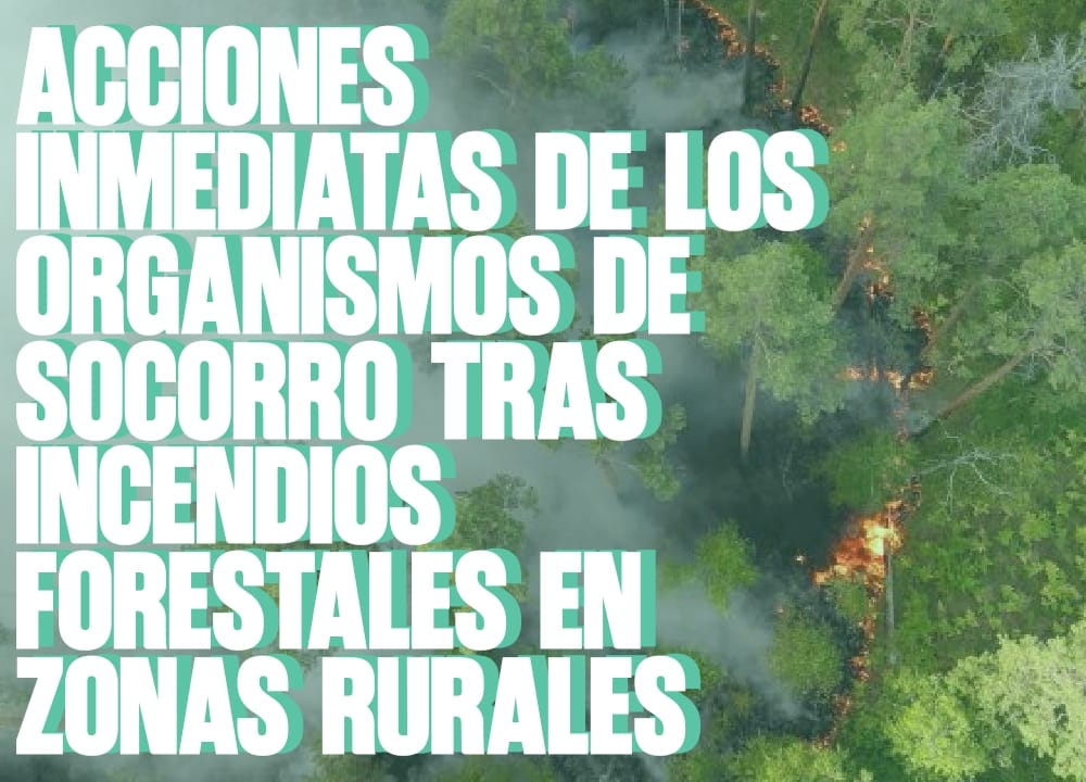 Acciones Inmediatas de los Organismos de Socorro tras Incendios Forestales en Zonas Rurales