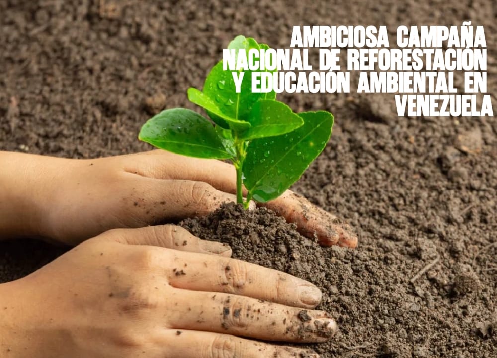 Ambiciosa Campaña Nacional de Reforestación y Educación Ambiental en Venezuela