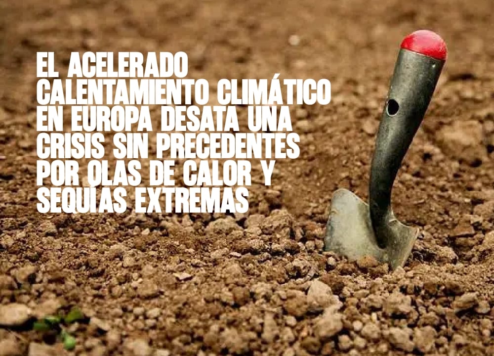 El acelerado calentamiento climático en Europa desata una crisis sin precedentes por olas de calor y sequías extremas