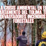 La crisis ambiental en el departamento del Tolima tras devastadores incendios forestales