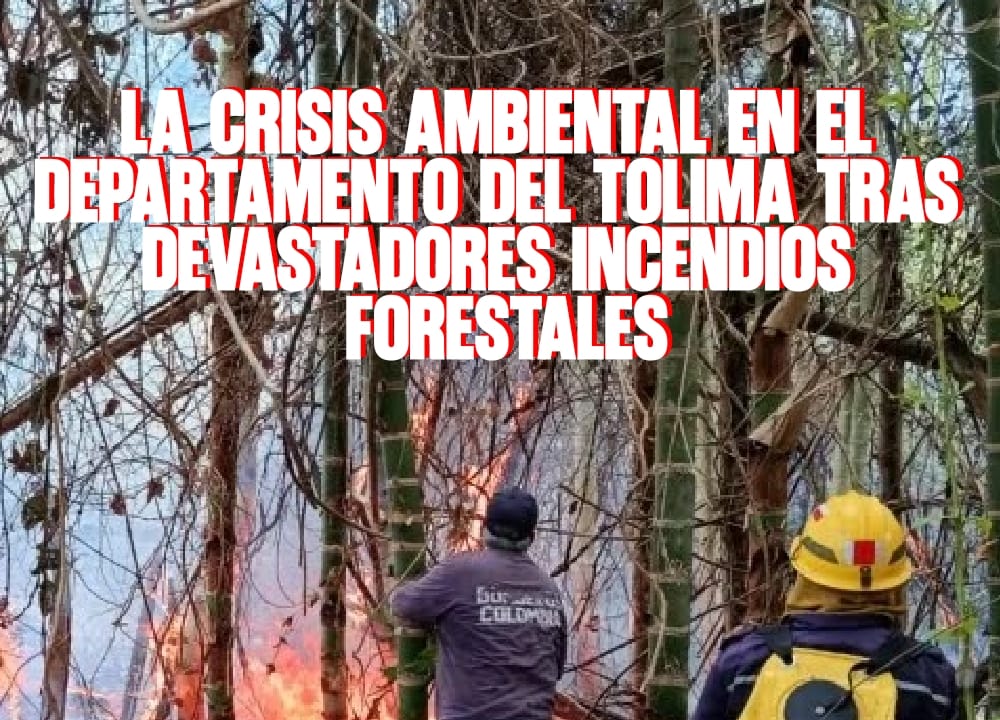 La crisis ambiental en el departamento del Tolima tras devastadores incendios forestales