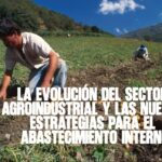 La evolución del sector agroindustrial y las nuevas estrategias para el abastecimiento interno
