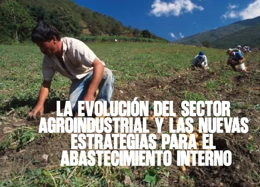 La evolución del sector agroindustrial y las nuevas estrategias para el abastecimiento interno