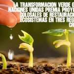 La transformación verde global