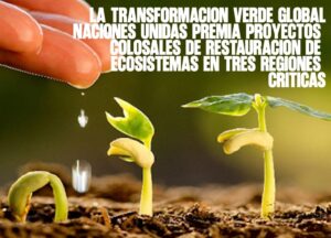 La transformación verde global