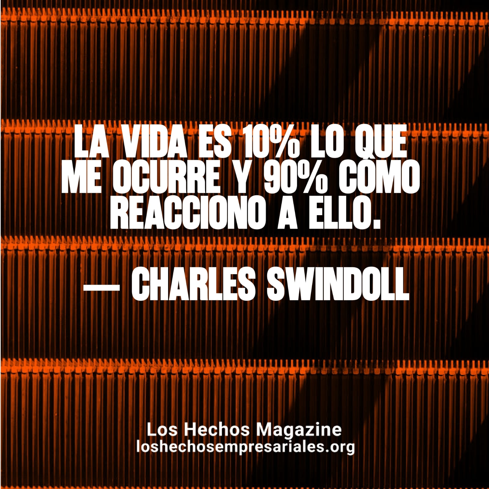 Reflexión 11-08-2026