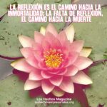 Reflexión 26-08-2026