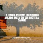 Reflexión 31-08-2026