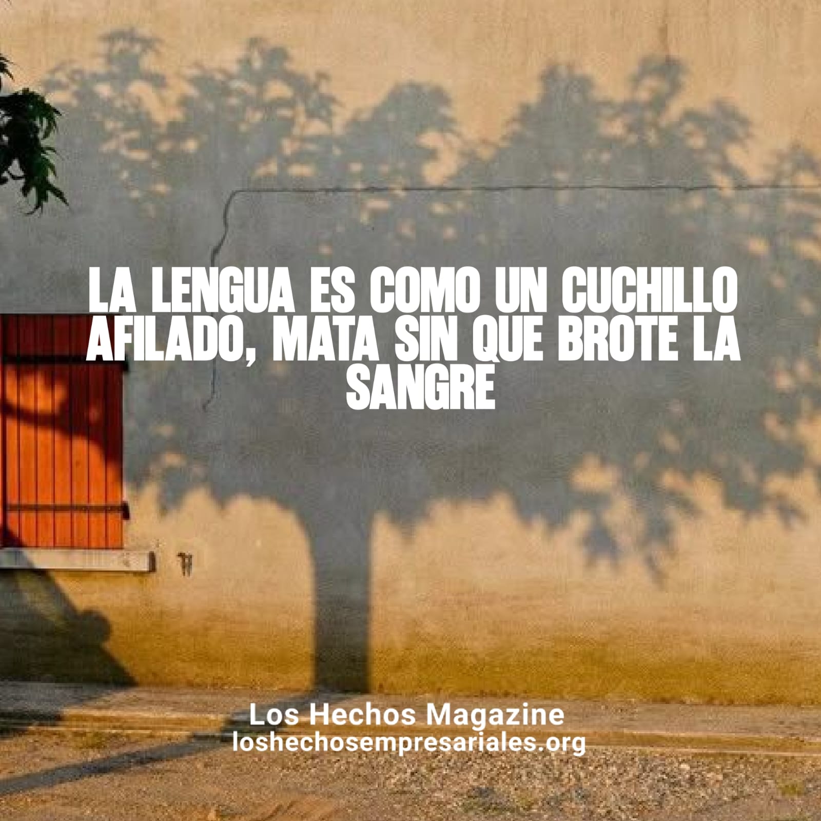 Reflexión 31-08-2026