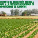 ​El desplome de la producción agrícola nacional y la creciente dependencia de las importaciones de alimentos 18082026