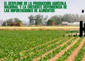 ​El desplome de la producción agrícola nacional y la creciente dependencia de las importaciones de alimentos 18082026