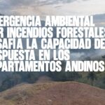 ​Emergencia ambiental por incendios forestales desafía la capacidad de respuesta en los departamentos andinos