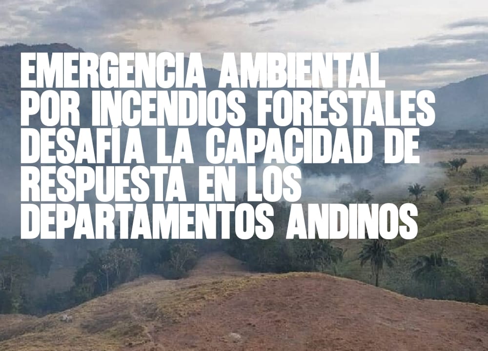 ​Emergencia ambiental por incendios forestales desafía la capacidad de respuesta en los departamentos andinos