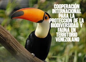 Cooperación internacional para la protección de la biodiversidad y fauna en territorio venezolano
