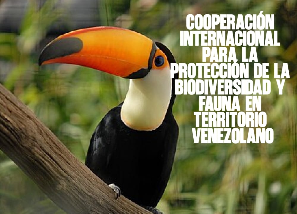Cooperación internacional para la protección de la biodiversidad y fauna en territorio venezolano