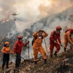 Incendios Forestales
