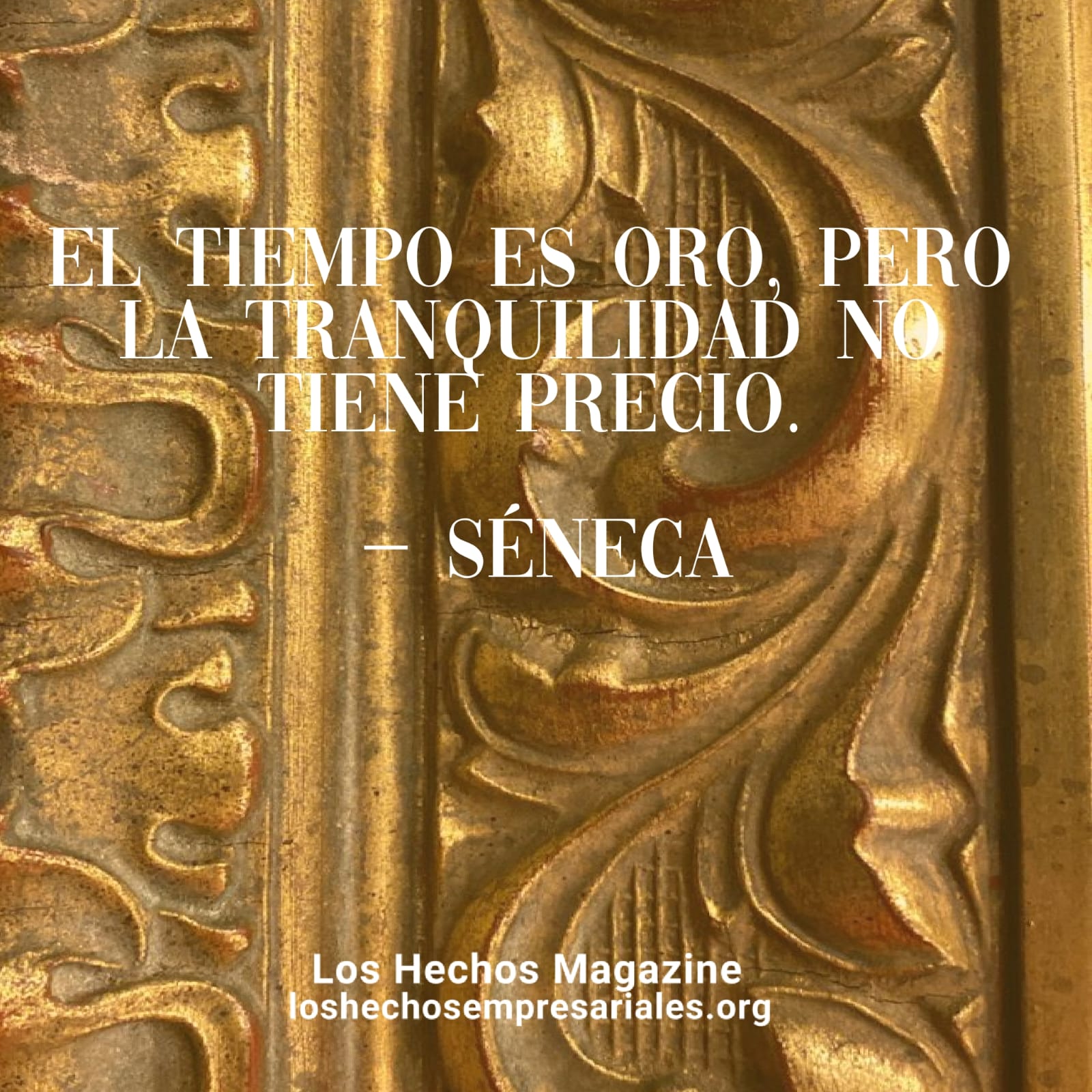 Reflexión 14-09-2026