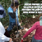 Análisis Profundo Sobre el Hallazgo de Restos Humanos Protegidos por Campesinos en la Sierra Nevada de Santa Marta