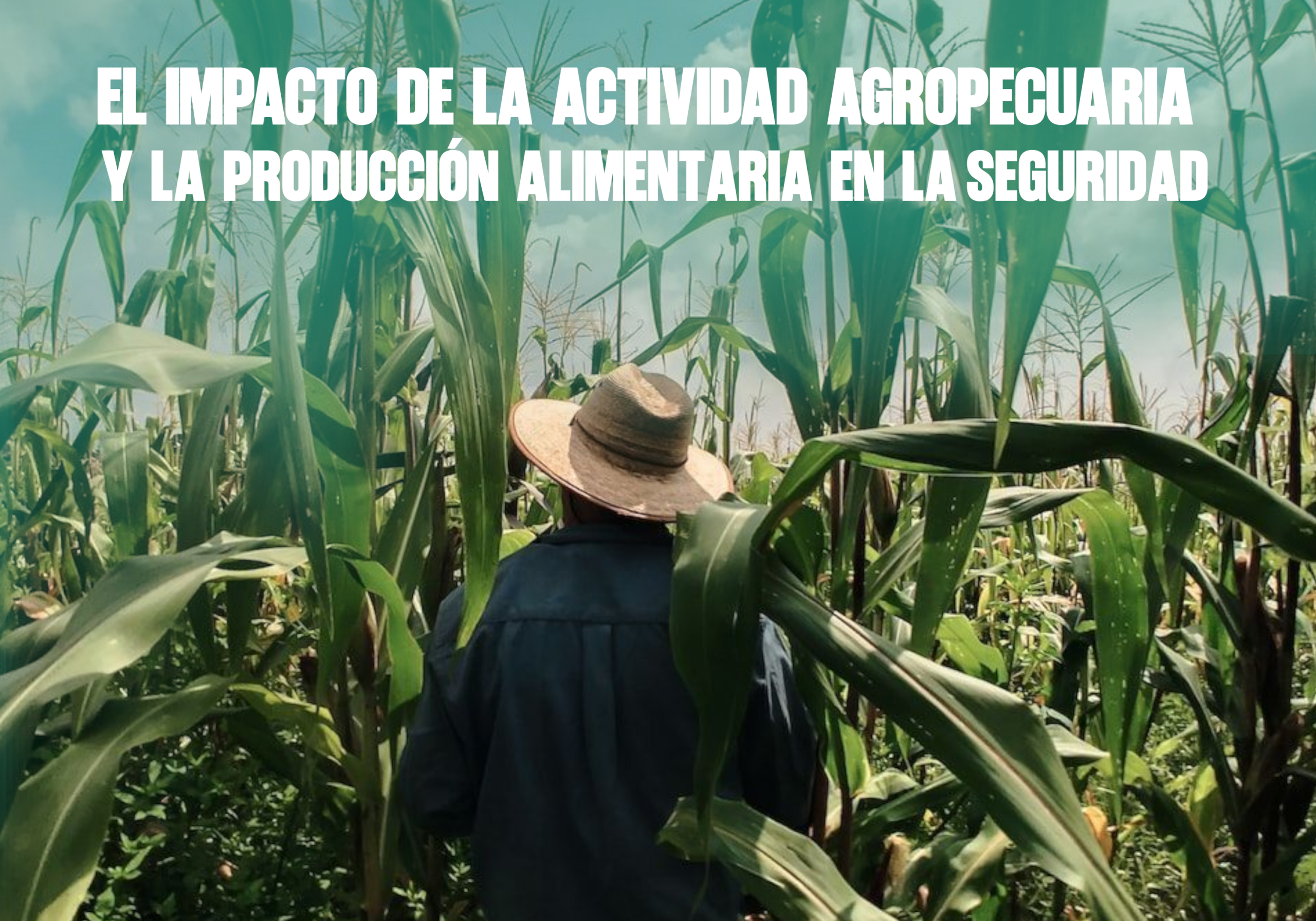 El impacto de la actividad agropecuaria y la producción alimentaria en la seguridad regional