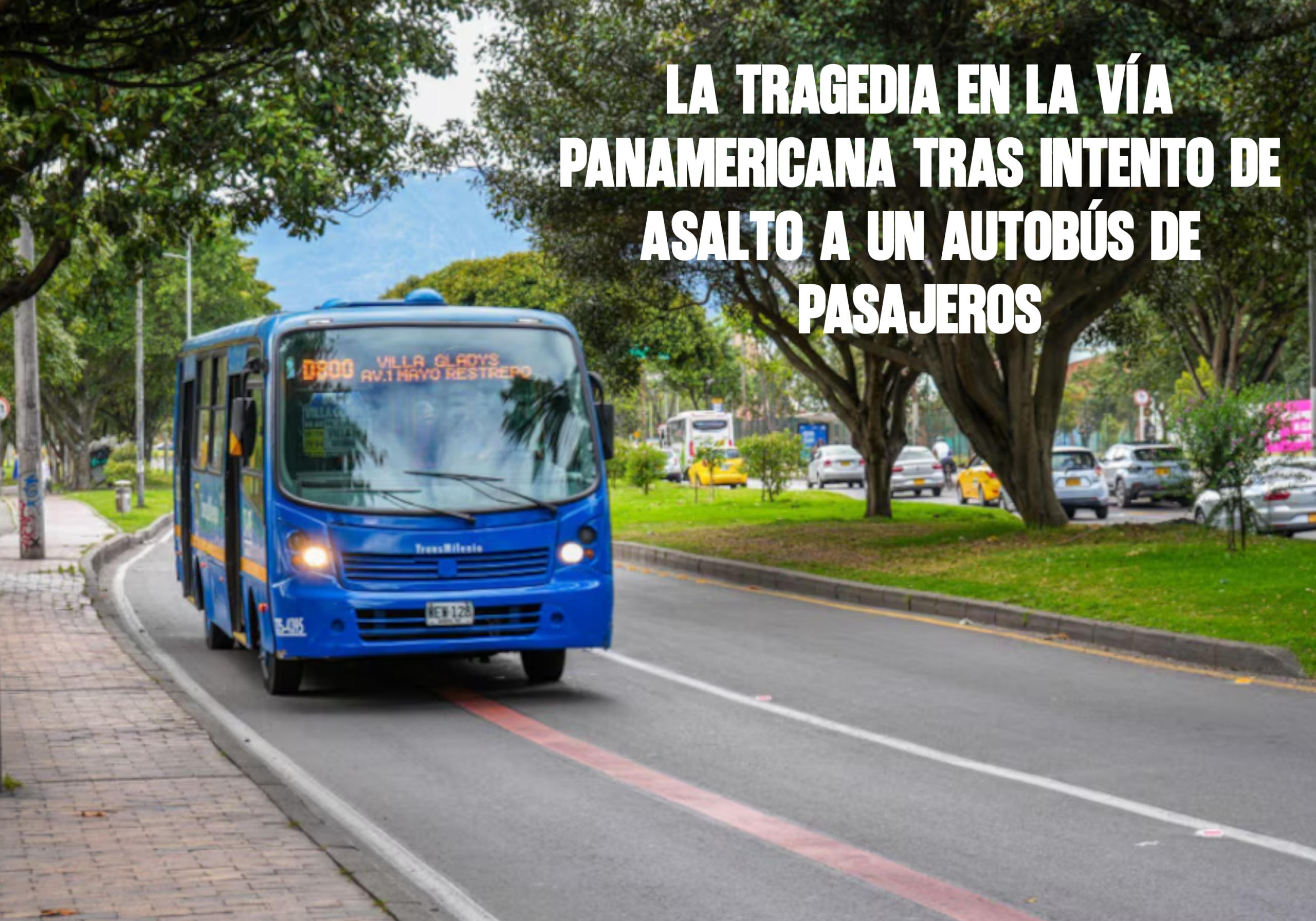 La Tragedia en la Vía Panamericana Tras Intento de Asalto a un Autobús de Pasajeros