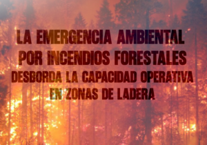 La emergencia ambiental por incendios forestales desborda la capacidad operativa en zonas de ladera