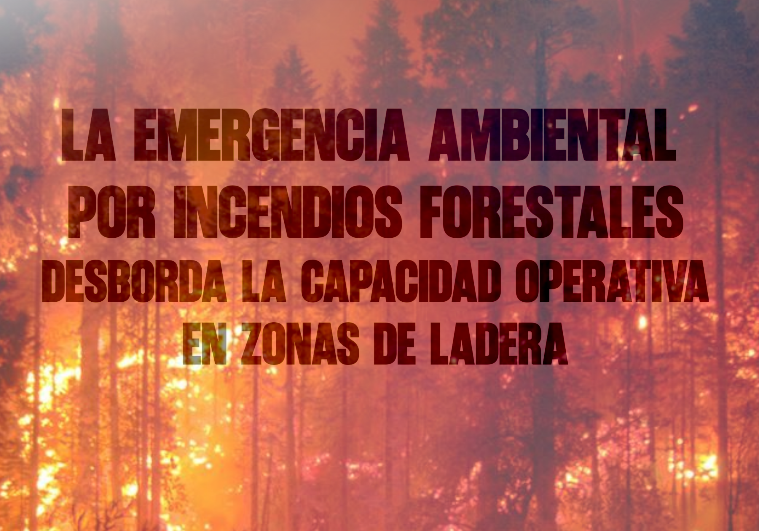 La emergencia ambiental por incendios forestales desborda la capacidad operativa en zonas de ladera
