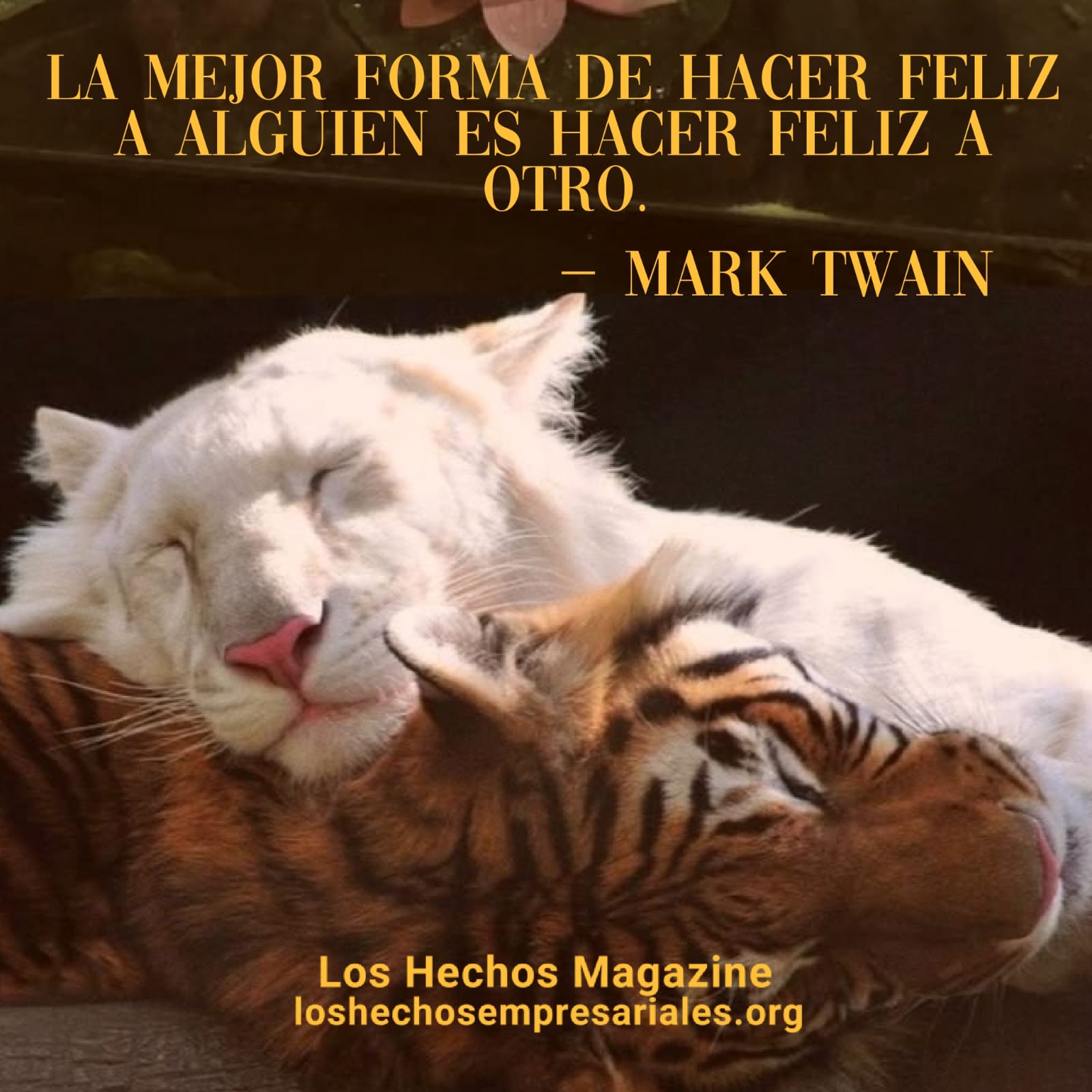 Reflexión 30-10-2026